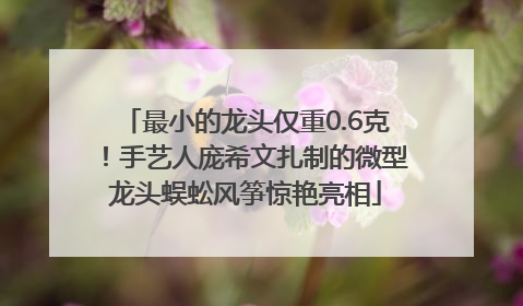 最小的龙头仅重0.6克！手艺人庞希文扎制的微型龙头蜈蚣风筝惊艳亮相