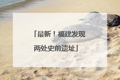 最新!福建发现两处史前遗址
