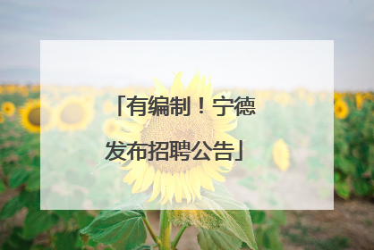 有编制！宁德发布招聘公告