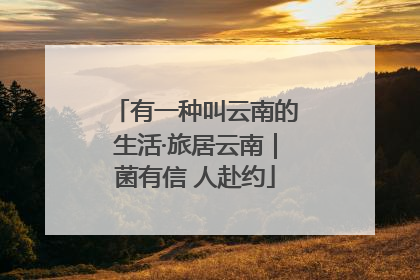 有一种叫云南的生活·旅居云南｜菌有信 人赴约
