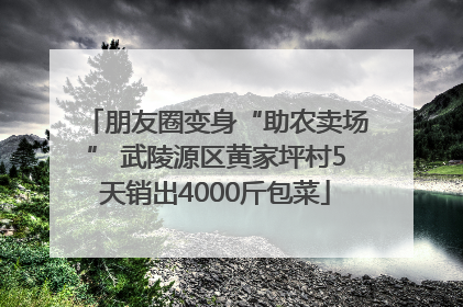 朋友圈变身“助农卖场” 武陵源区黄家坪村5天销出4000斤包菜