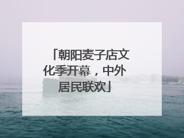 朝阳麦子店文化季开幕，中外居民联欢