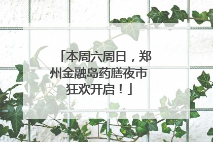 本周六周日，郑州金融岛药膳夜市狂欢开启！