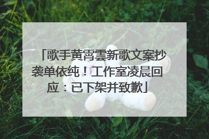 歌手黄霄雲新歌文案抄袭单依纯！工作室凌晨回应：已下架并致歉