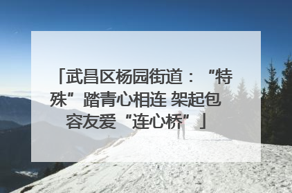 武昌区杨园街道：“特殊”踏青心相连 架起包容友爱“连心桥”
