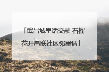 武昌城里话交融 石榴花开串联社区邻里情