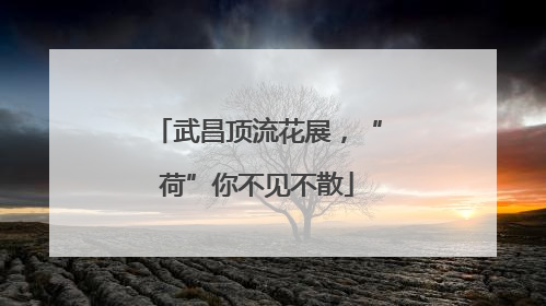 武昌顶流花展，“荷”你不见不散