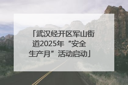 武汉经开区军山街道2025年“安全生产月”活动启动
