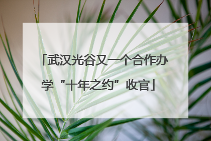 武汉光谷又一个合作办学“十年之约”收官