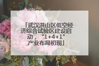 武汉洪山区低空经济综合试验区建设启动，“1+4+1”产业布局初现