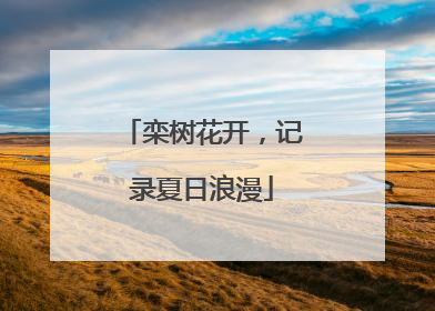 栾树花开，记录夏日浪漫