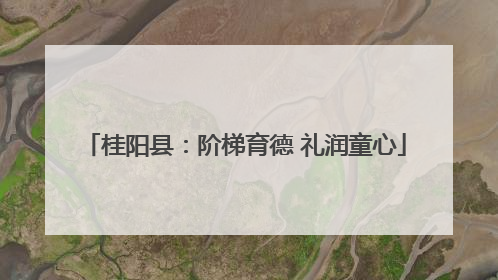 桂阳县：阶梯育德 礼润童心