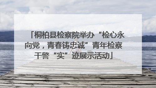 桐柏县检察院举办“检心永向党，青春铸忠诚”青年检察干警“实”迹展示活动
