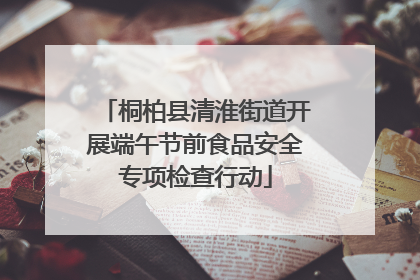 桐柏县清淮街道开展端午节前食品安全专项检查行动