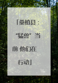 桑植县：“猛兽”当前 他们在行动