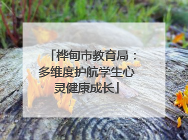 桦甸市教育局：多维度护航学生心灵健康成长