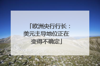 欧洲央行行长：美元主导地位正在变得不确定
