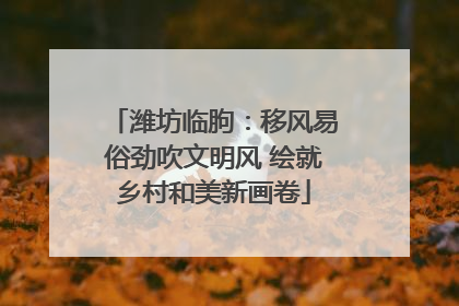 潍坊临朐：移风易俗劲吹文明风 绘就乡村和美新画卷