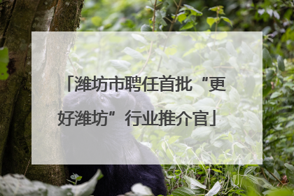 潍坊市聘任首批“更好潍坊”行业推介官
