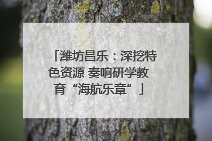潍坊昌乐：深挖特色资源 奏响研学教育“海航乐章”