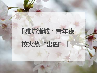 潍坊诸城：青年夜校火热“出圈”