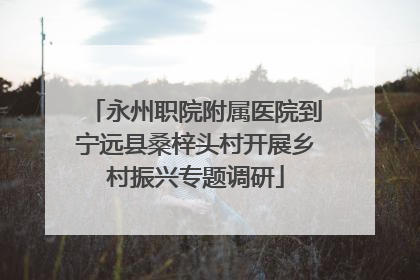 永州职院附属医院到宁远县桑梓头村开展乡村振兴专题调研