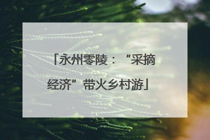 永州零陵：“采摘经济”带火乡村游