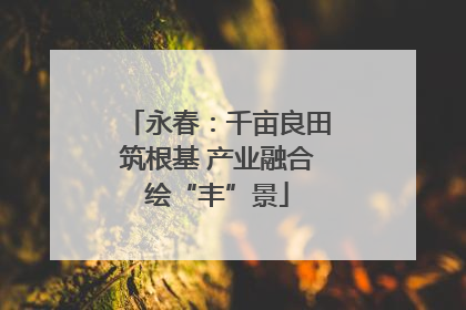 永春：千亩良田筑根基 产业融合绘“丰”景
