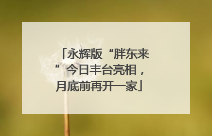 永辉版“胖东来”今日丰台亮相，月底前再开一家