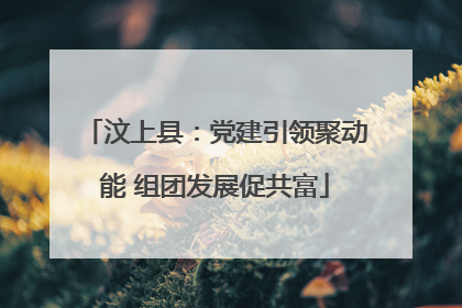 汶上县：党建引领聚动能 组团发展促共富