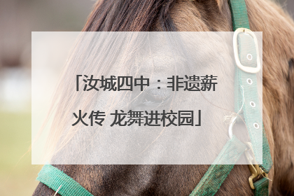 汝城四中：非遗薪火传 龙舞进校园