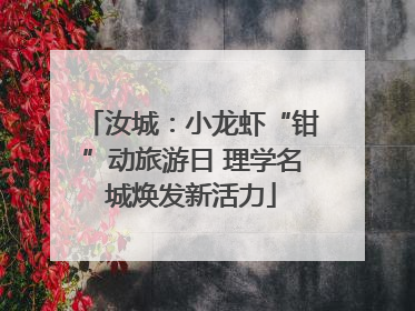汝城：小龙虾“钳”动旅游日 理学名城焕发新活力