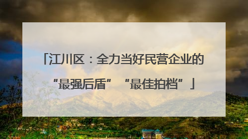 江川区：全力当好民营企业的“最强后盾”“最佳拍档”