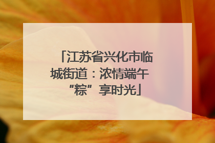 江苏省兴化市临城街道：浓情端午 “粽”享时光