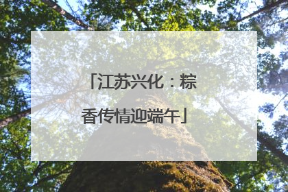 江苏兴化：粽香传情迎端午