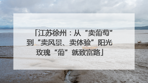 江苏徐州：从“卖葡萄”到“卖风景、卖体验”阳光玫瑰“葡”就致富路