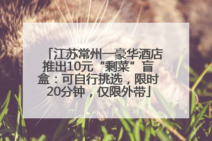 江苏常州一豪华酒店推出10元“剩菜”盲盒：可自行挑选，限时20分钟，仅限外带