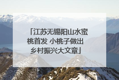 江苏无锡阳山水蜜桃首发 小桃子做出乡村振兴大文章