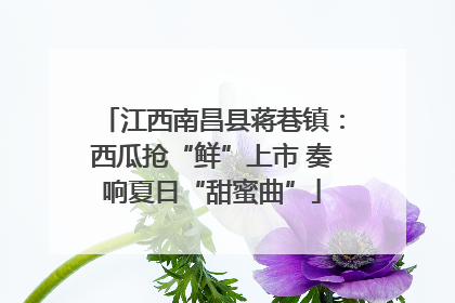 江西南昌县蒋巷镇：西瓜抢“鲜”上市 奏响夏日“甜蜜曲”