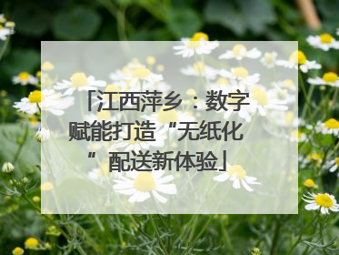 江西萍乡：数字赋能打造“无纸化”配送新体验