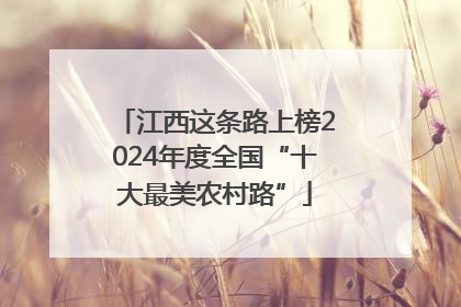 江西这条路上榜2024年度全国“十大最美农村路”