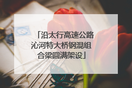 沿太行高速公路沁河特大桥钢混组合梁圆满架设