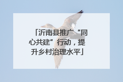 沂南县推广“同心共建”行动，提升乡村治理水平