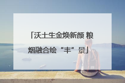 沃土生金焕新颜 粮烟融合绘“丰”景