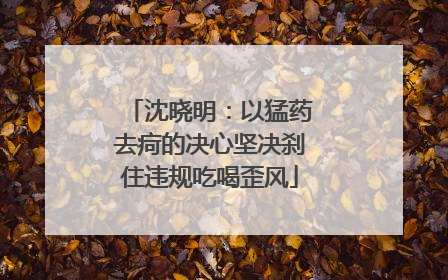沈晓明：以猛药去疴的决心坚决刹住违规吃喝歪风