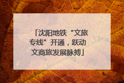 沈阳地铁“文旅专线”开通，跃动文商旅发展脉搏