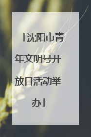 沈阳市青年文明号开放日活动举办