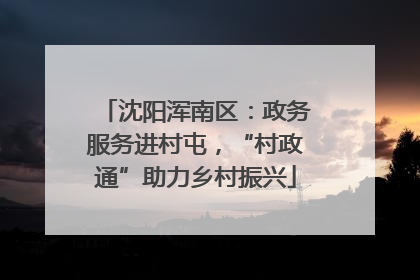 沈阳浑南区：政务服务进村屯，“村政通”助力乡村振兴