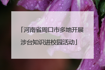 河南省周口市多地开展涉台知识进校园活动