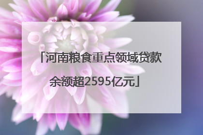 河南粮食重点领域贷款余额超2595亿元